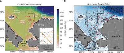 Understanding ocean stratification and its interannual variability in the northeastern Chukchi Sea